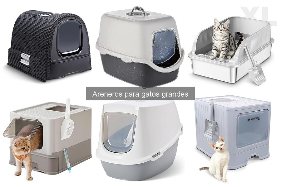 Errores comunes al usar areneros para gatos grandes