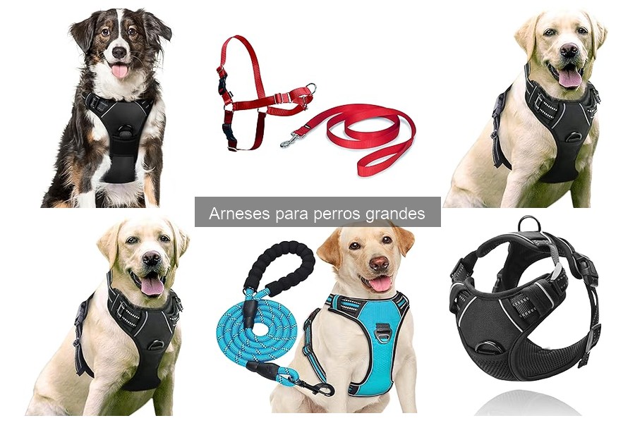 Errores Comunes al Usar Arneses para Perros Grandes