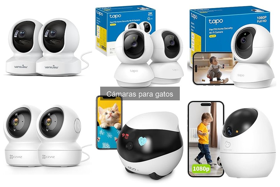 Errores comunes al usar cámaras para gatos y soluciones