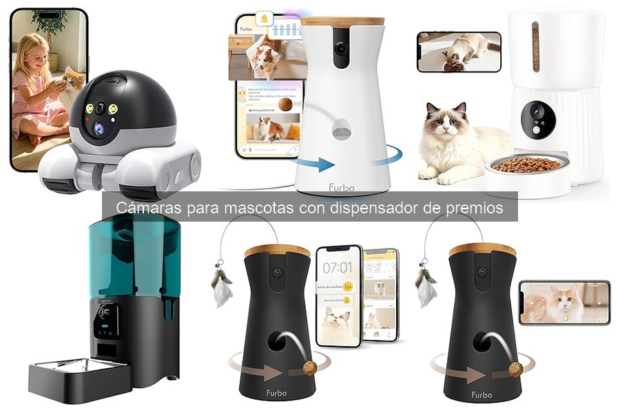 Errores comunes al usar cámaras para mascotas con dispensador