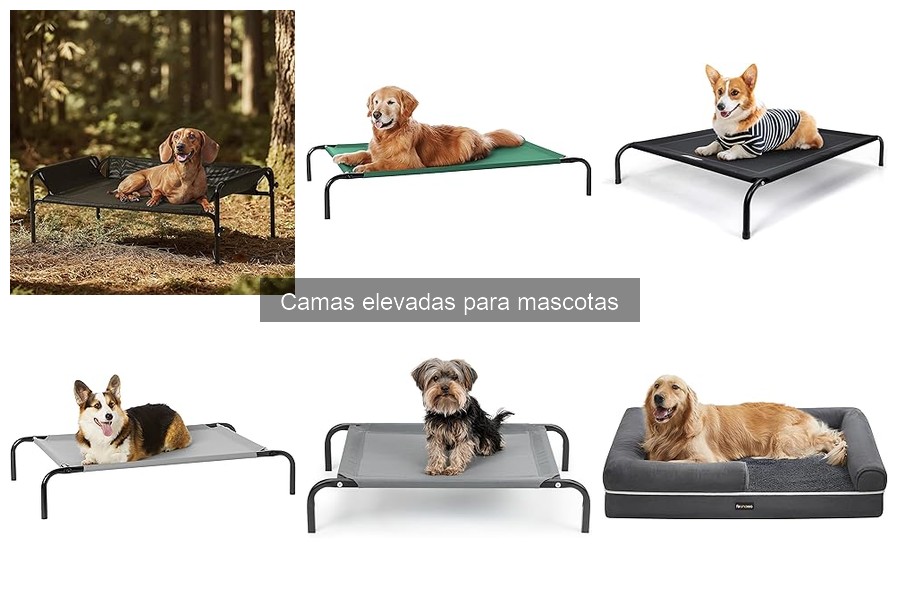 Errores comunes al usar camas elevadas para mascotas
