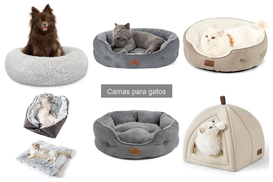 Errores Comunes al Usar Camas para Gatos y Cómo Evitarlos