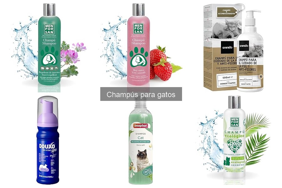 Errores comunes al usar champús para gatos y cómo evitarlos