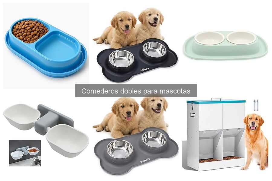 Errores comunes al usar comederos dobles para mascotas