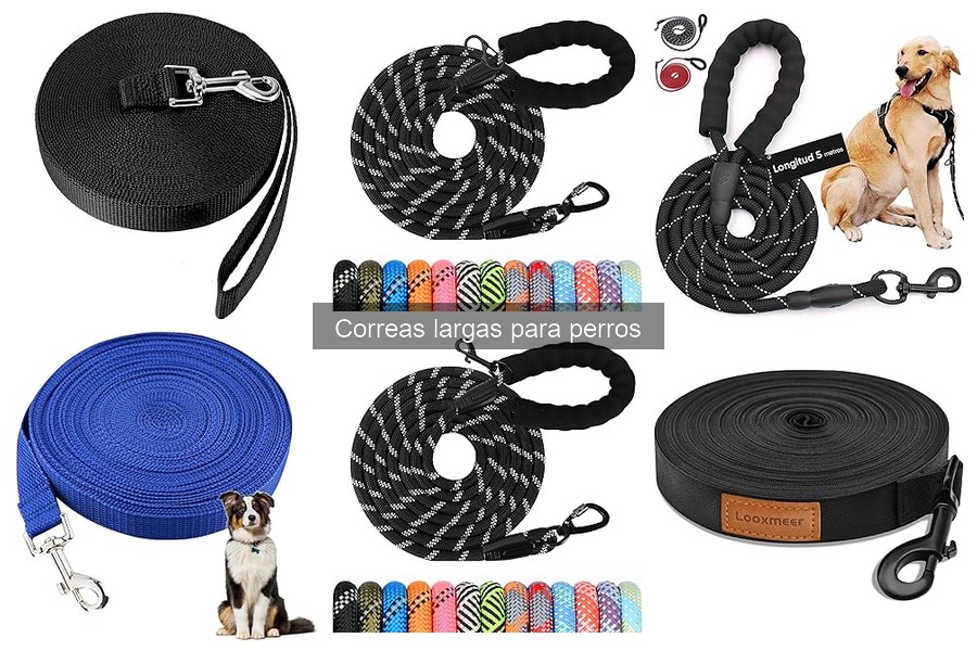 Errores Comunes al Usar Correas Largas para Perros