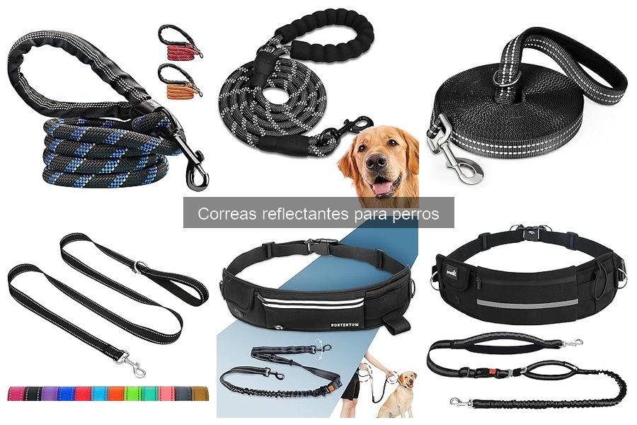 Errores comunes al usar correas reflectantes para perros