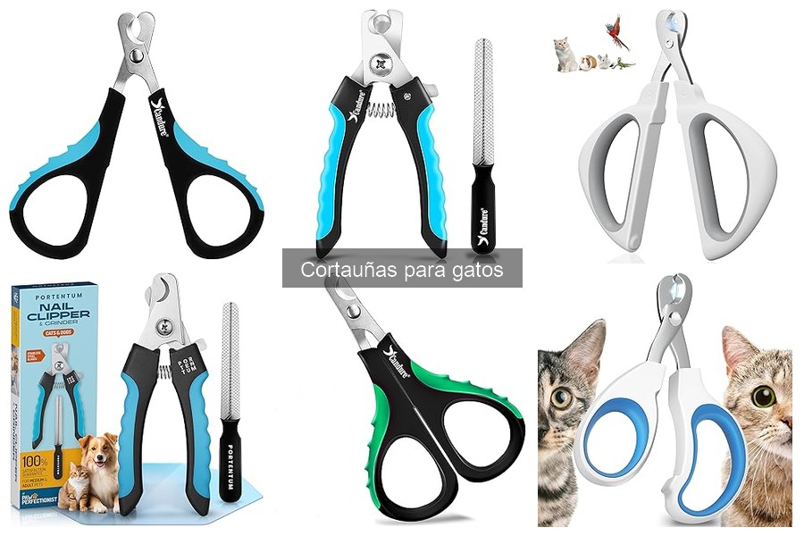 Errores comunes al usar cortauñas para gatos