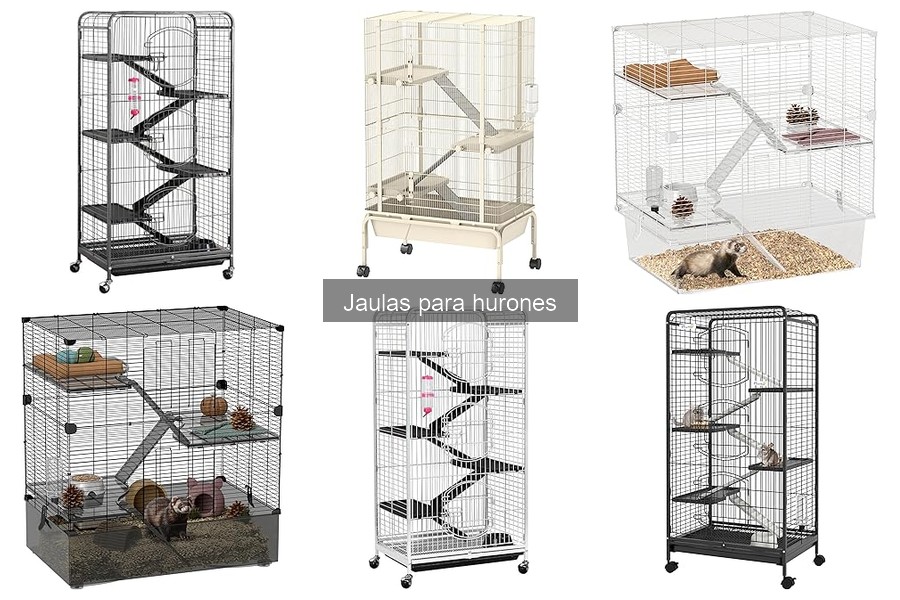 Errores Comunes al Usar Jaulas para Hurones