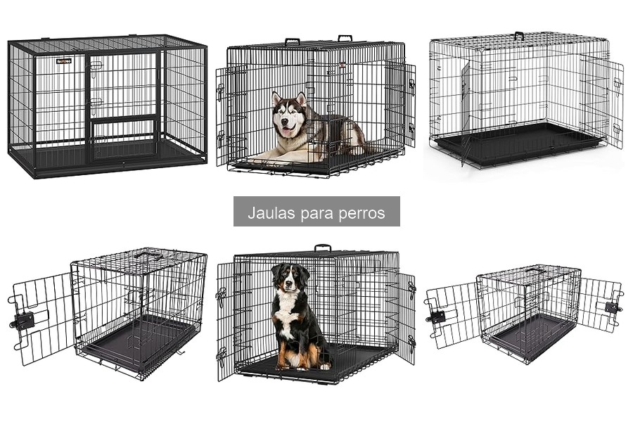 Errores comunes al usar jaulas para perros y cómo evitarlos