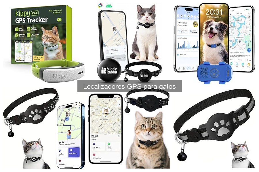 Errores comunes al usar localizadores GPS para gatos