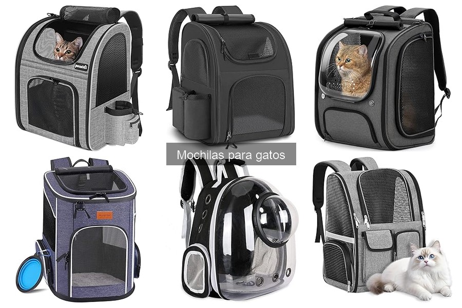 Errores comunes al usar mochilas para gatos y cómo solucionarlos