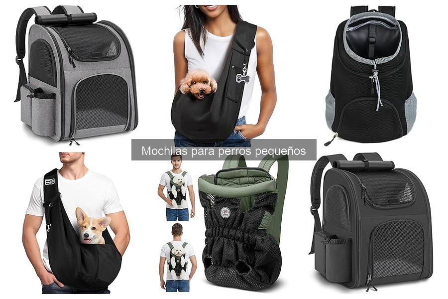 Errores Comunes al Usar Mochilas para Perros Pequeños