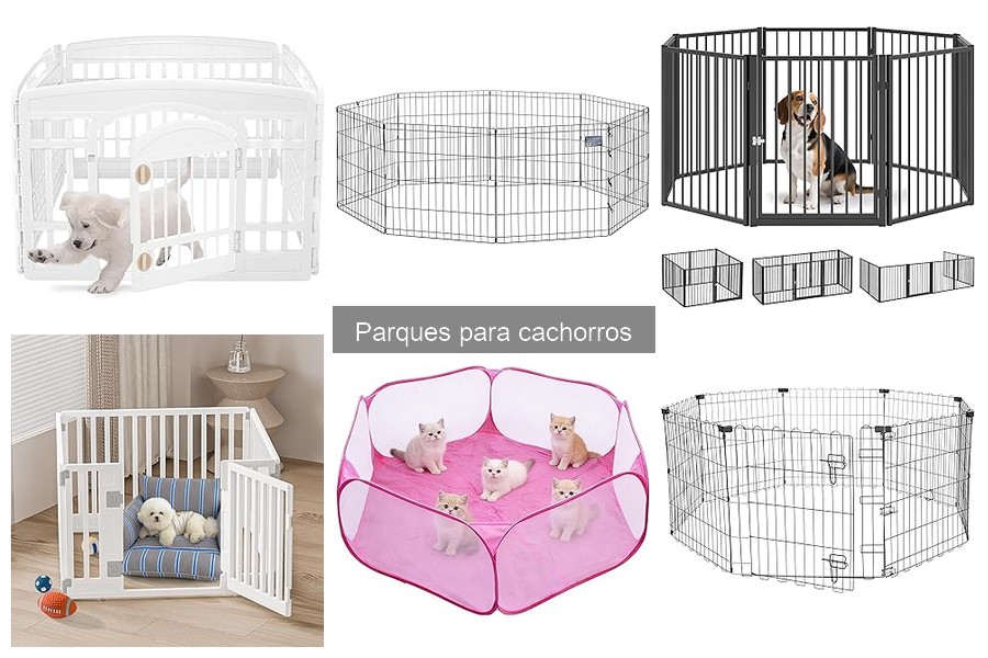 Errores comunes al usar parques para cachorros y soluciones