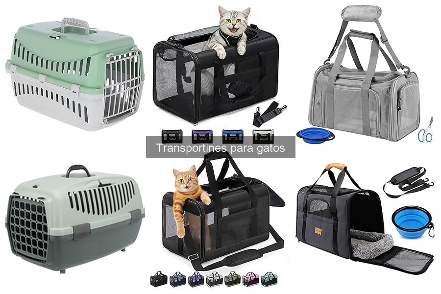 Errores comunes al usar transportines para gatos y soluciones