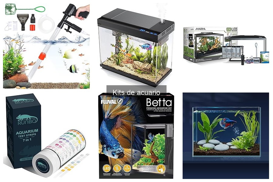 Errores comunes al usar un kit de acuario y cómo evitarlos