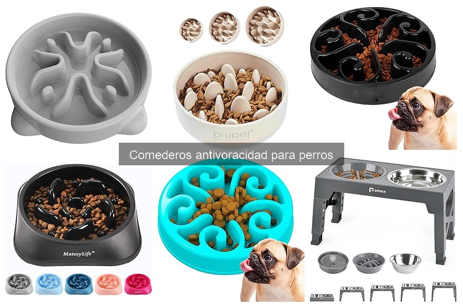 Errores Comunes con Comederos Antivoracidad para Perros