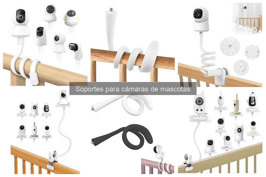 Errores Comunes con Soportes para Cámaras de Mascotas y Soluciones