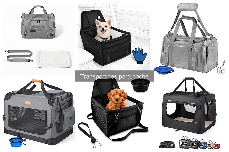 Errores comunes con transportines para coche y cómo solucionarlos