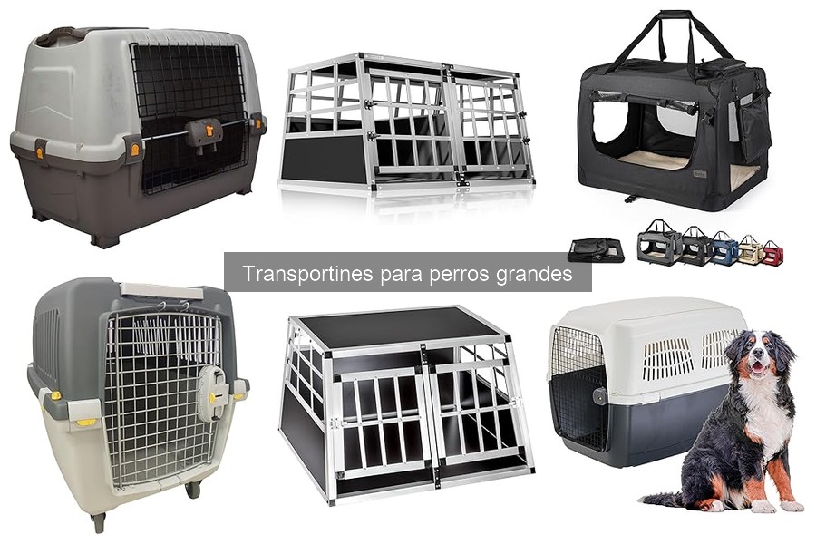 Errores comunes con transportines para perros grandes y soluciones