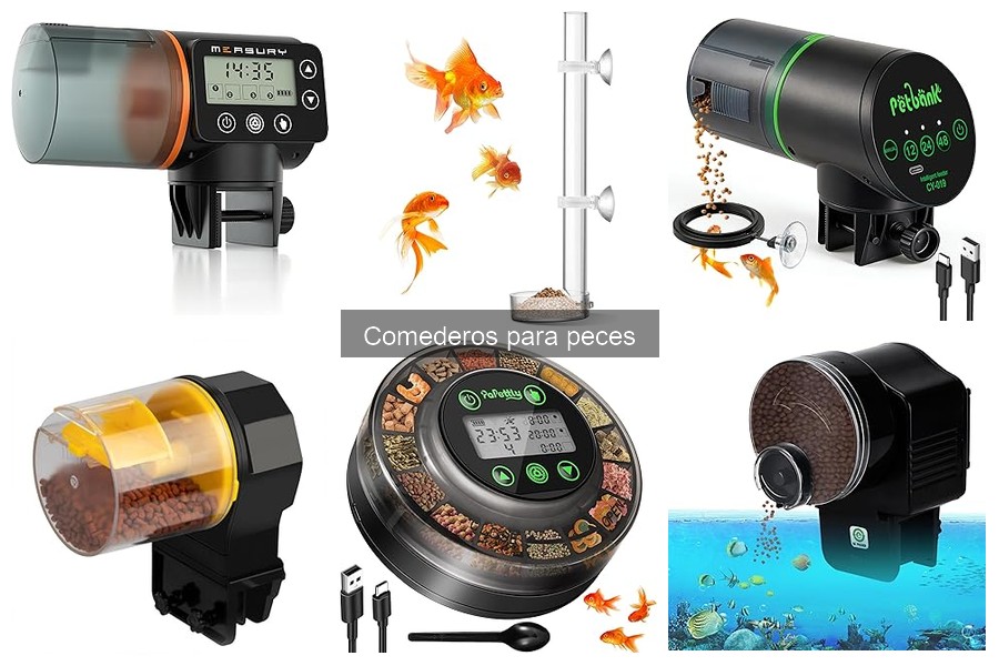 Errores comunes en comederos automáticos para peces