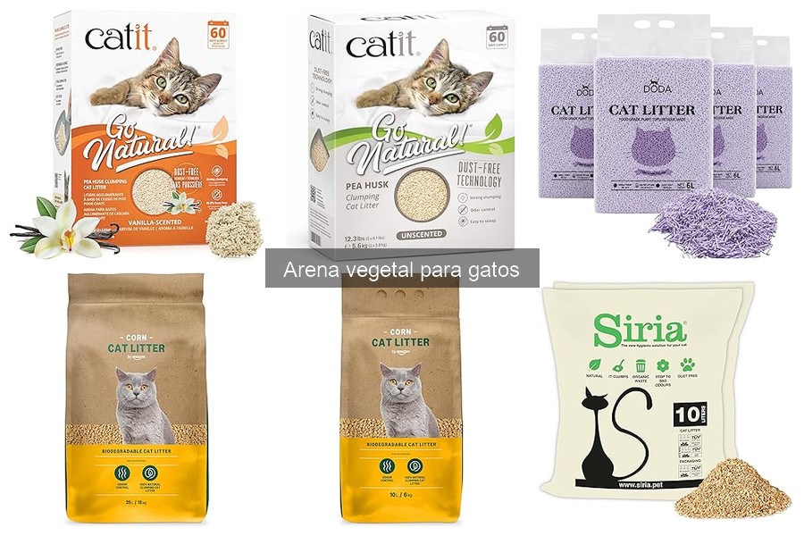 ¿Es más económica la arena vegetal para gatos?