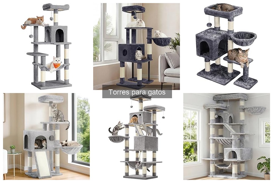 Espacio necesario para una torre de gatos en ambientes pequeños