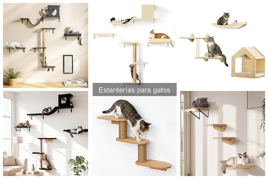 Estanterías para gatos: Beneficios y funciones esenciales