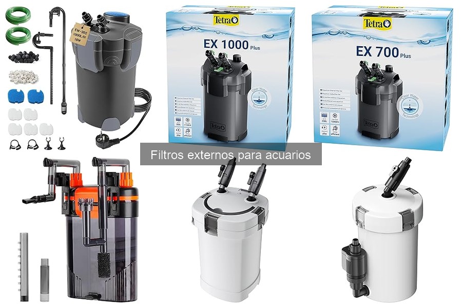 Filtro externo vs interno: ¿Por qué elegir el mejor para tu acuario?
