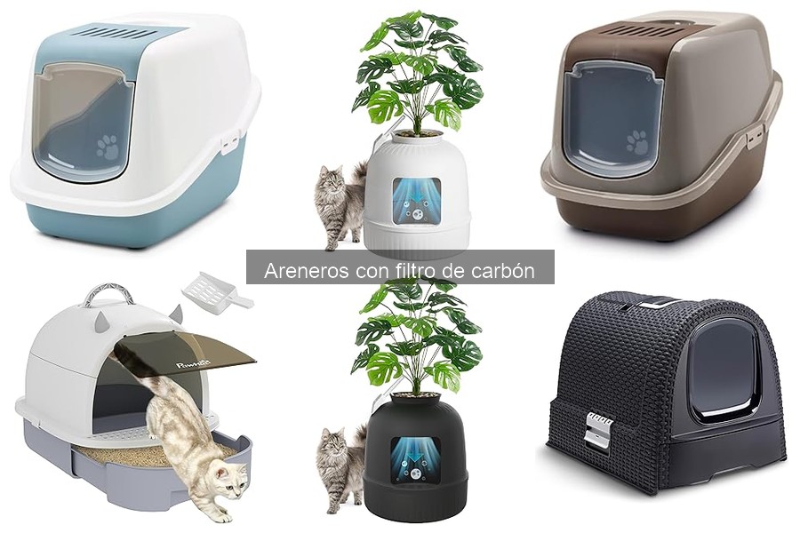Filtros de carbón en areneros: ¿realmente son efectivos?