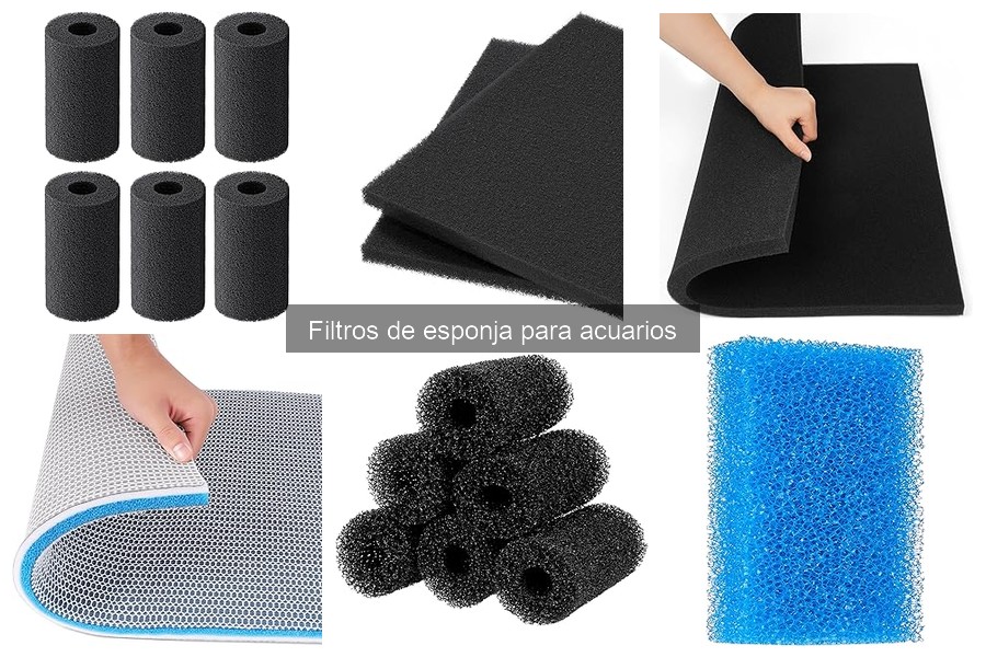 Filtros de esponja: ¿son ideales para acuarios grandes?