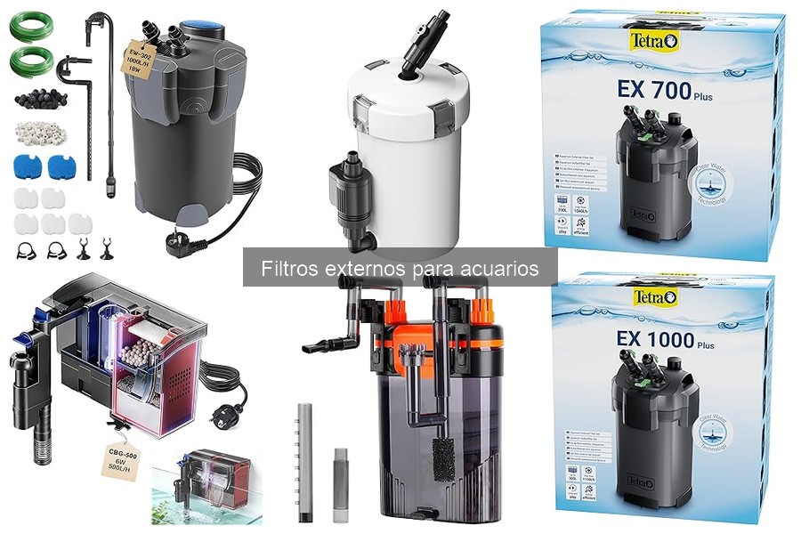 Filtros Externos para Acuarios Marinos: ¿Son Adecuados?