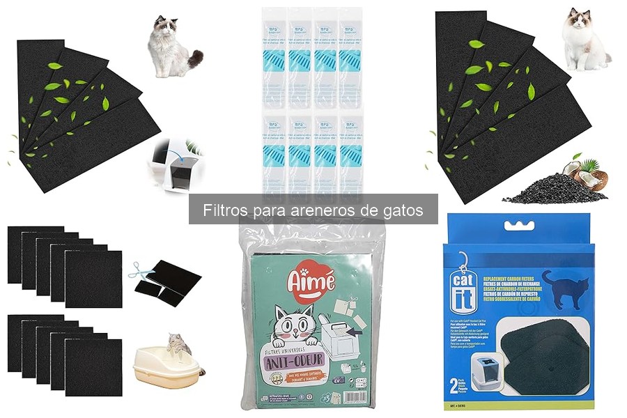 Filtros para areneros: Cómo elegir según la raza de tu gato
