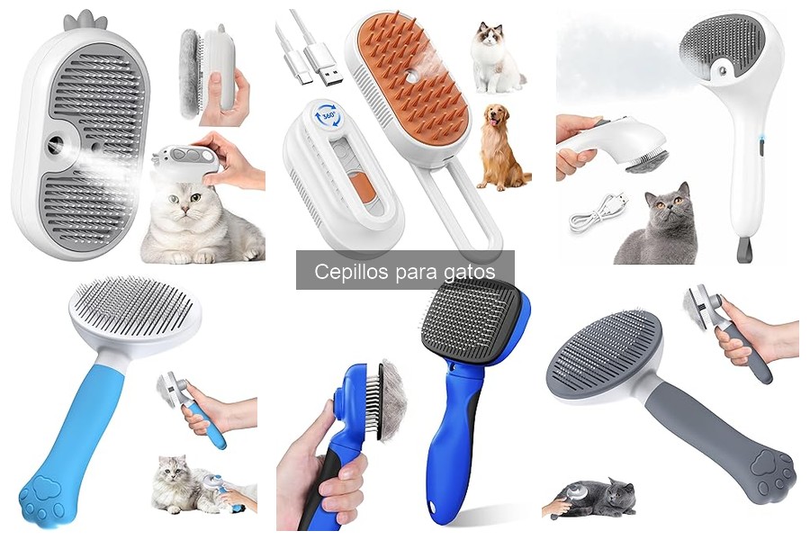 Frecuencia Ideal para Cepillar a tu Gato: Guía Rápida