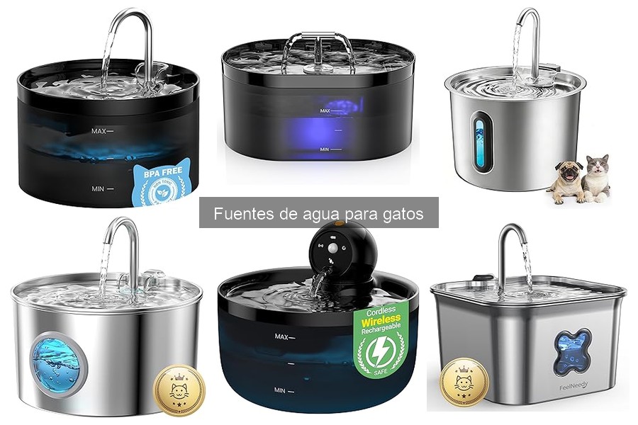 Fuentes de Agua para Gatos: Compactas para Espacios Pequeños
