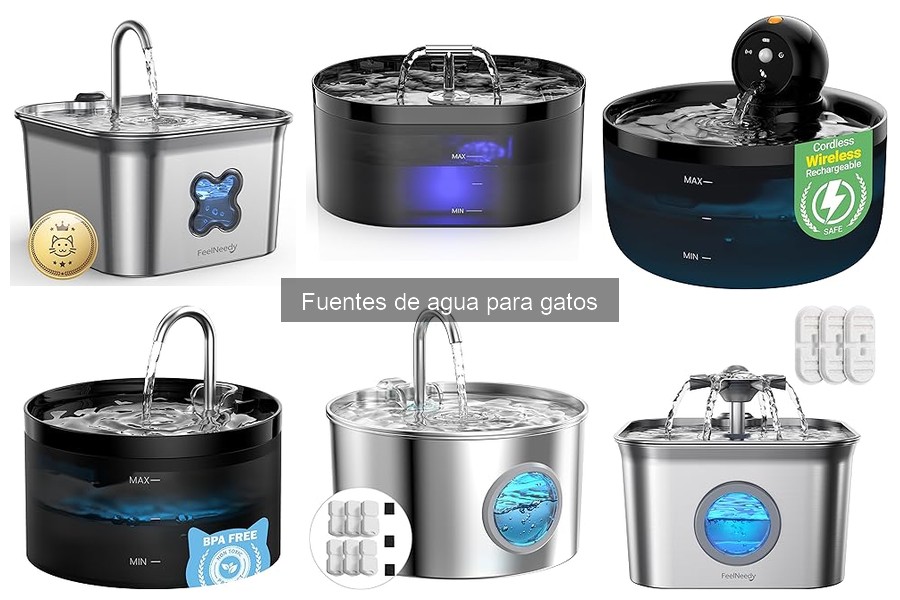 Fuentes de agua para gatos con filtro: ¿realmente valen la pena?