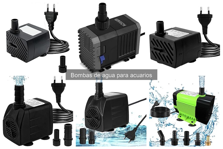 Guía básica sobre bombas de agua para acuarios
