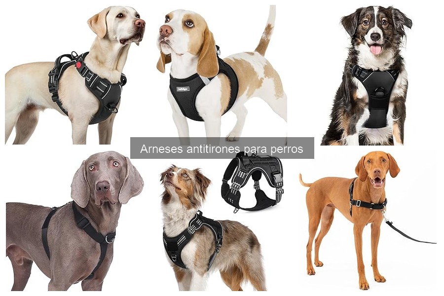 Guía de Compra de Arnés Antitiron para Perros