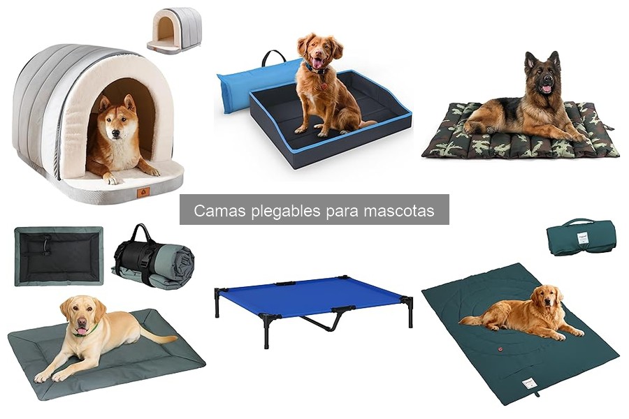 Guía de compra de camas plegables para mascotas