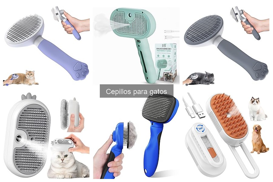 Guía de compra de cepillos para gatos: Elige el mejor