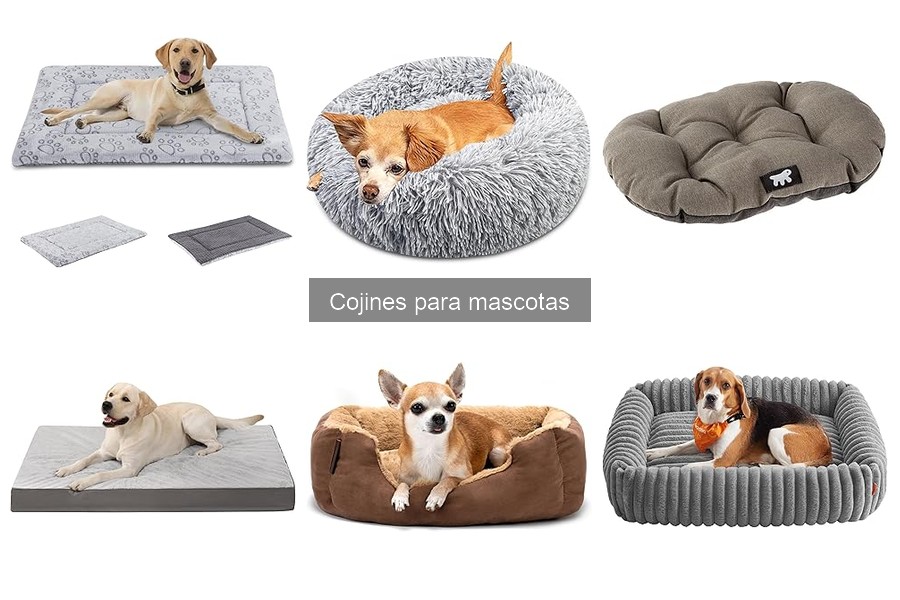 Guía de compra de cojines para mascotas: consejos clave