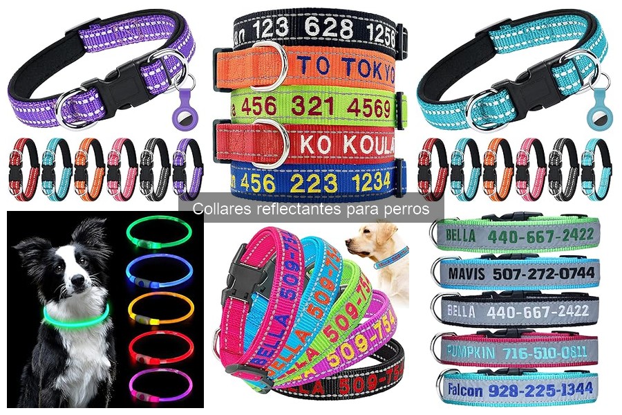 Guía de compra de collares reflectantes para perros