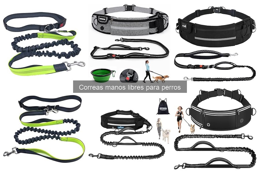 Guía de compra de correas manos libres para perros