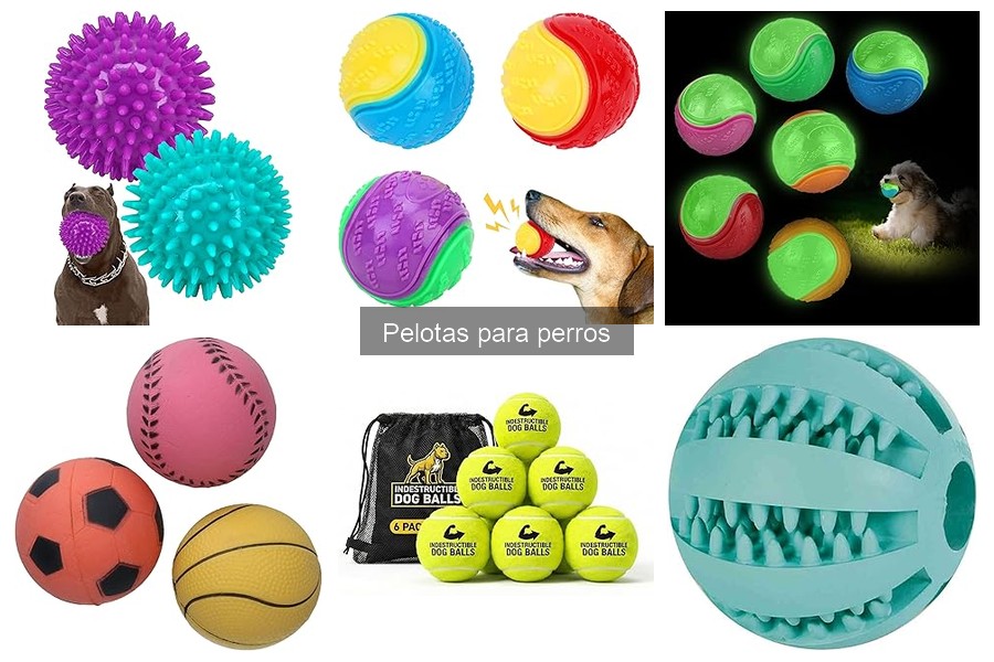 Guía de Compra de Pelotas para Perros: ¿Qué Considerar?