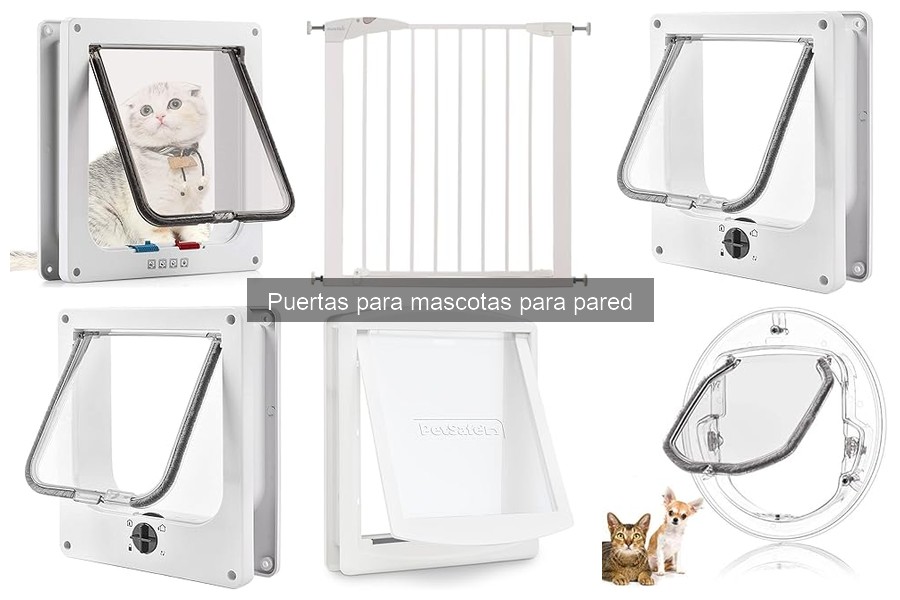 Guía de compra de puertas para mascotas para pared