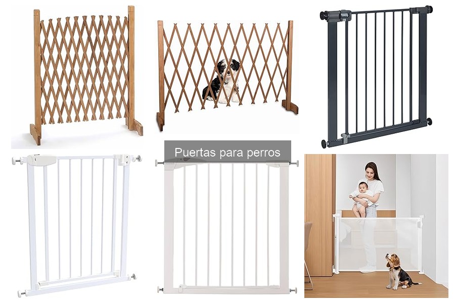 Guía de compra de puertas para perros: ¿Cuál elegir?