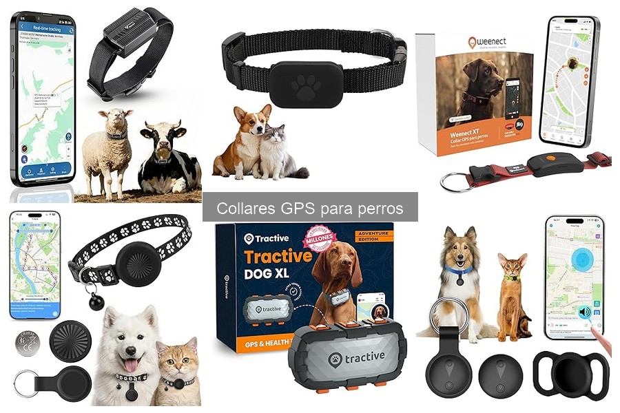 Guía de instalación de collares GPS para perros