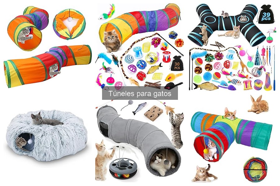 Guía para el Mantenimiento y Limpieza de Túneles para Gatos