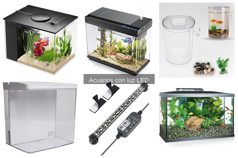 Guía para Elegir Acuarios con Luz LED para Tu Pecera