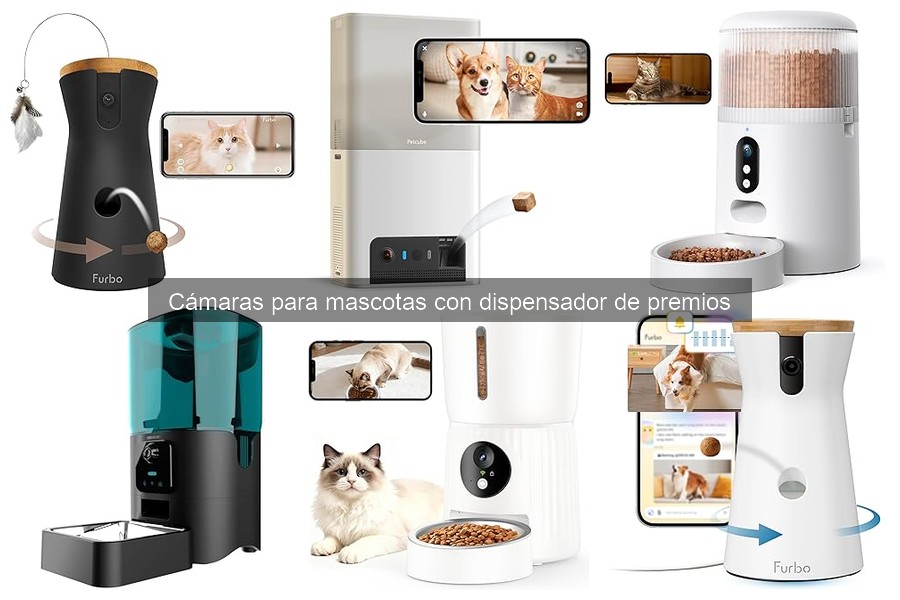Guía para elegir cámaras para mascotas con dispensador de premios