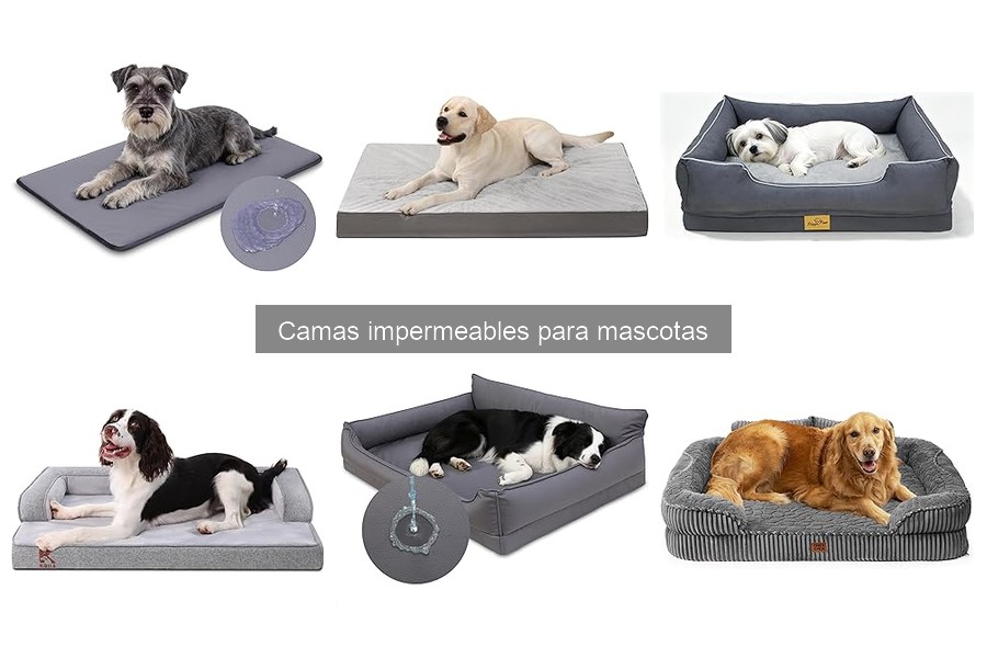 Guía para elegir camas impermeables para mascotas